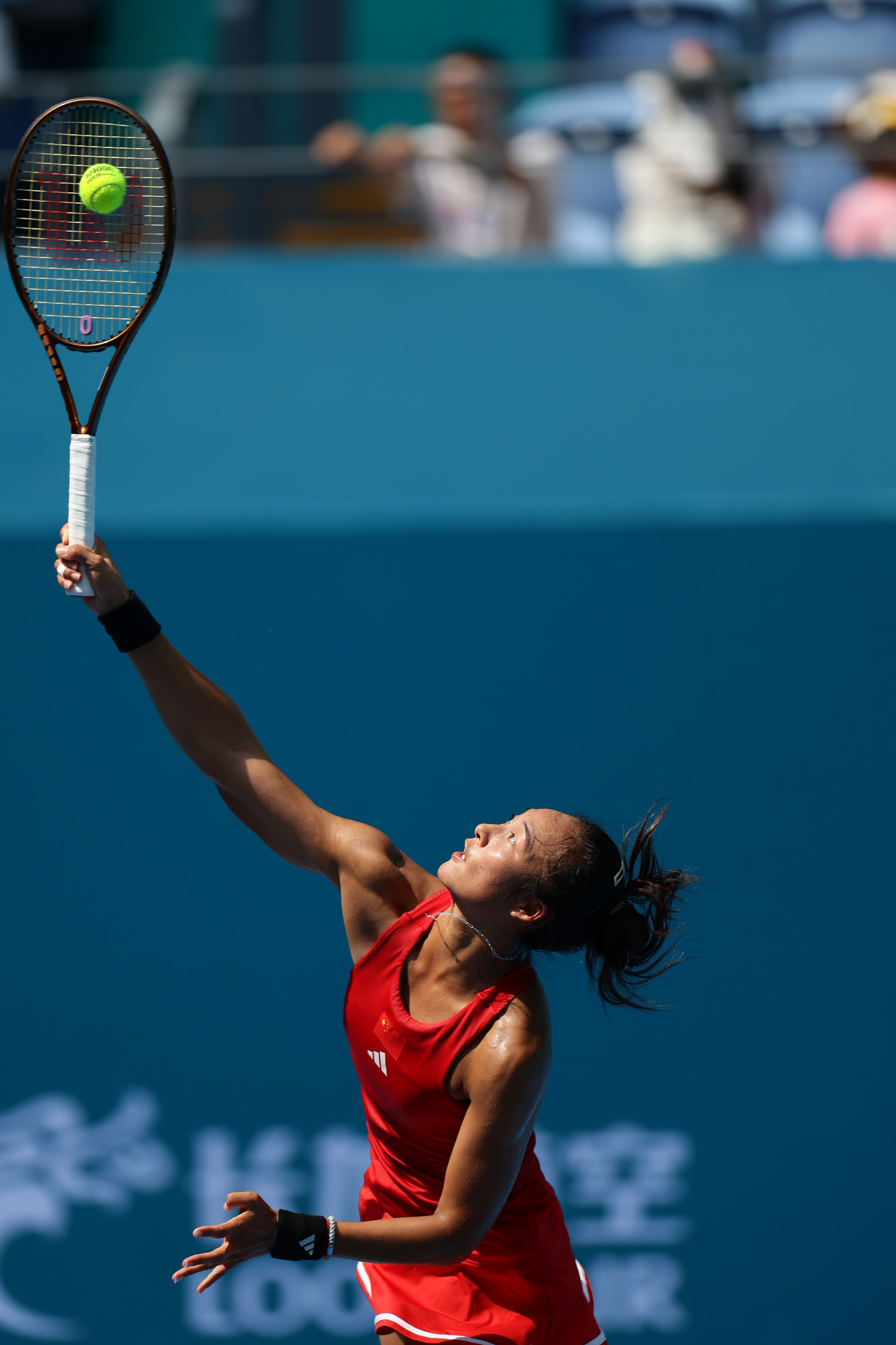 年进行升级 年进行升级