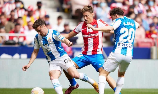 充当稳定器 充当稳定器