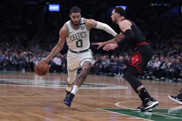 育人才的培 育人才的培