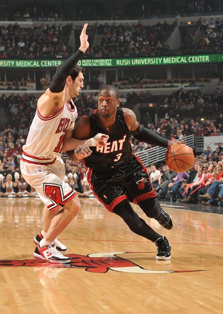 坚持不懈的 坚持不懈的